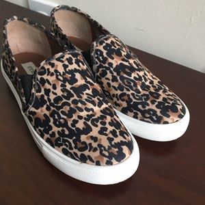 Steve Madden SYMBA Leopard Print Slip-on Sneakers